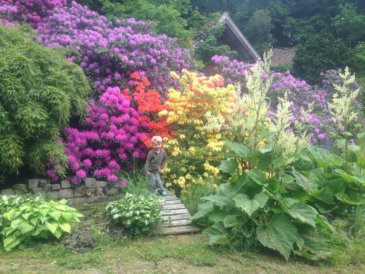 Berte Bed&Breakfast Sloinge ภายนอก รูปภาพ