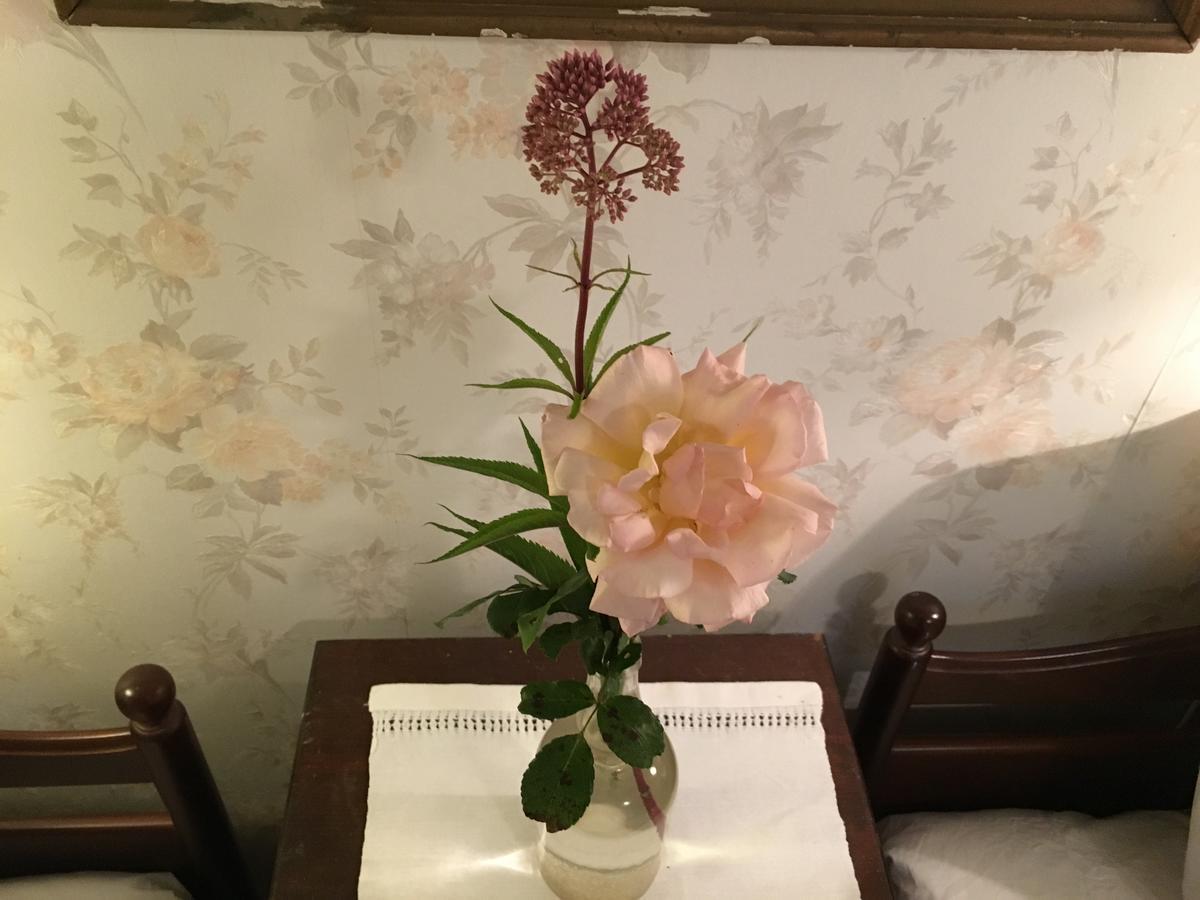 Berte Bed&Breakfast Sloinge ภายนอก รูปภาพ